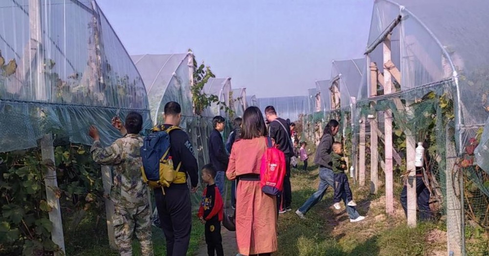 18b97f1466fd4d1da660495bfc5552b4.jpg 18b97f1466fd4d1da660495bfc5552b4.jpg