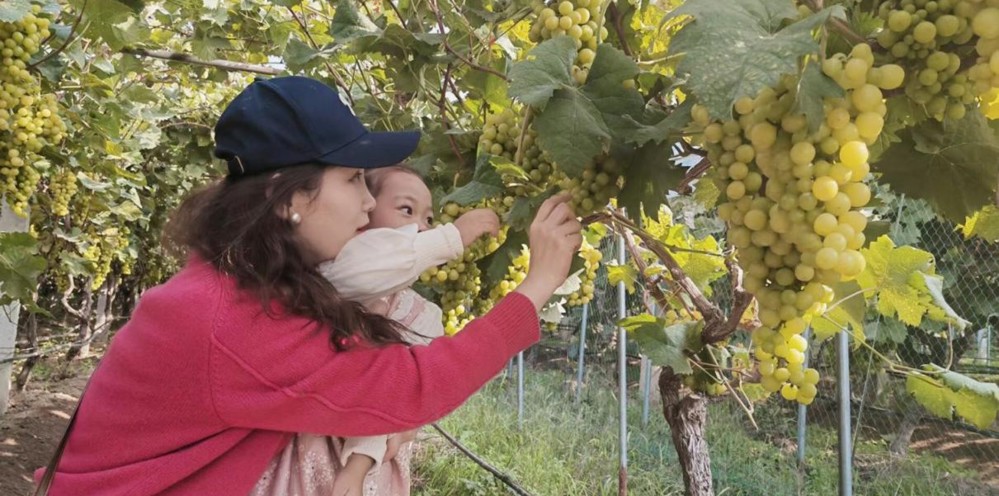 d6a7ae5bdceb4eedac6eb8fbdf6ec75e.jpg d6a7ae5bdceb4eedac6eb8fbdf6ec75e.jpg